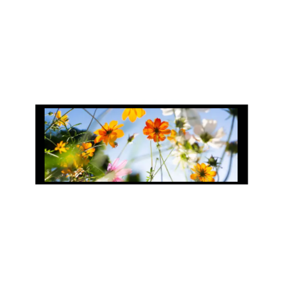 6,86 дюймдік 480 × 1280 IPS TFT модулі